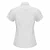 Ladies Berlin Short Sleeve Shirt - Image 3