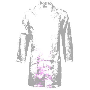Food Industry Dust Coat